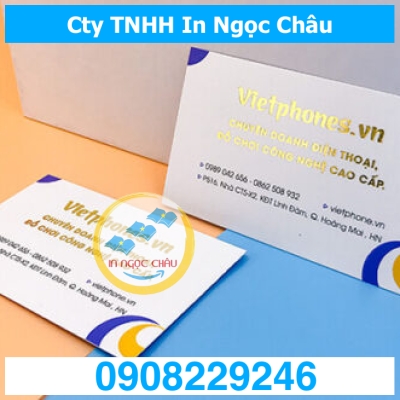 	IN NAME CARD ÉP KIM