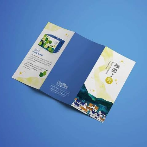  	Thiết kế Brochure giá rẻ