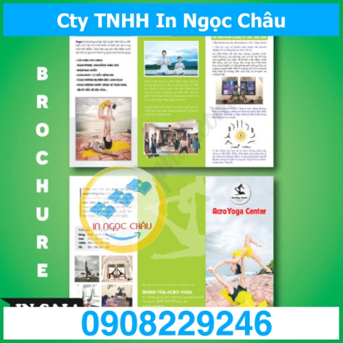  	In Leaflet giá rẻ