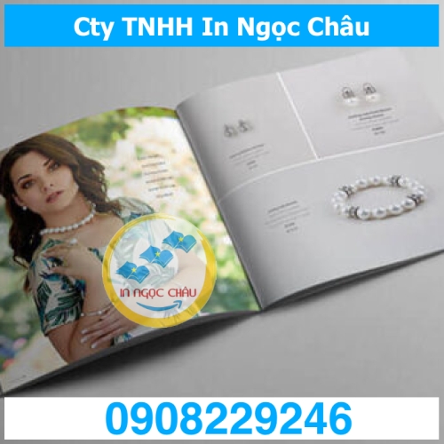  	IN CATALOGUE