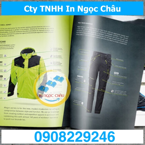  	IN CATALOGUE