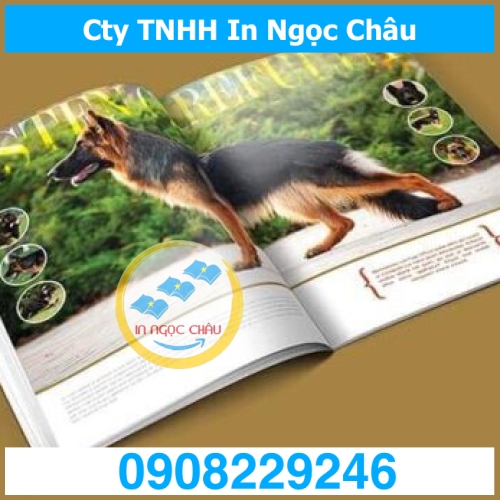  	IN CATALOGUE