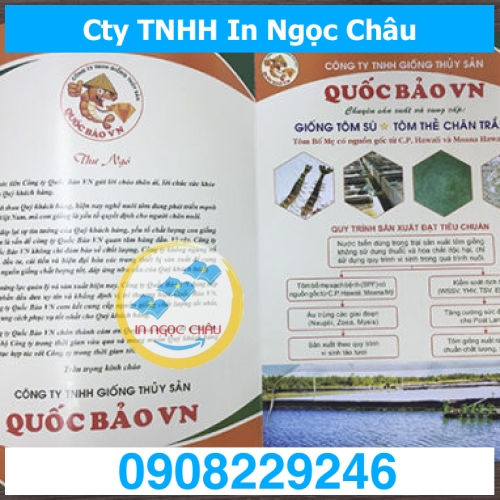  	IN FOLDER – KẸP FILE
