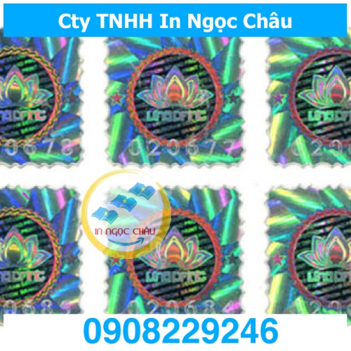  	Thiết kế Folder