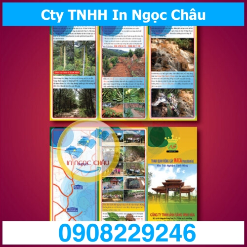  	In Tờ Rơi A5 – Số lượng 2000 tờ A5